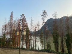 -星湖旅游景区七星岩