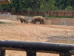 -泉州海丝野生动物世界