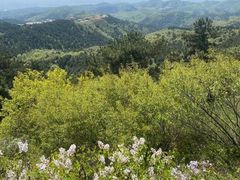 -山西乌金山旅游区