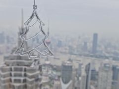 -上海柏悦酒店·世纪100牛排馆