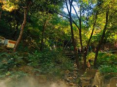 -北京西山国家森林公园
