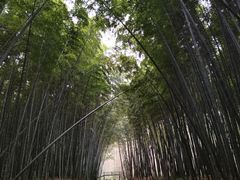 -同里国家湿地公园
