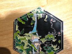 -龙苍沟森林公园