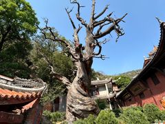 -庐山风景名胜区