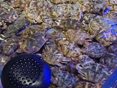 -澜悦港海鲜体验主题餐厅