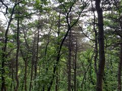 -沈阳辉山风景区
