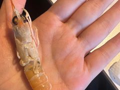 -九月海·海鲜自助(世纪东方店)