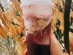 多肉葡萄-喜茶(滨江宏岸店)