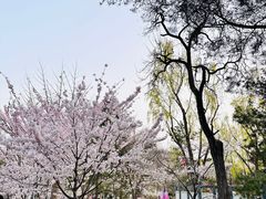 -七仙岭温泉国家森林公园