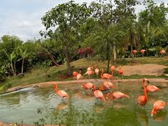 -海南热带野生动植物园