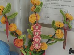-美联众合爱康动物医院•复杂内科•肿瘤科•牙科•腔镜诊疗中心