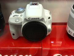 -丰泽(尖沙咀海洋中心店)