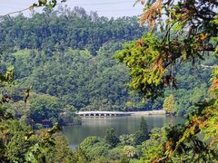 -深圳仙湖植物园