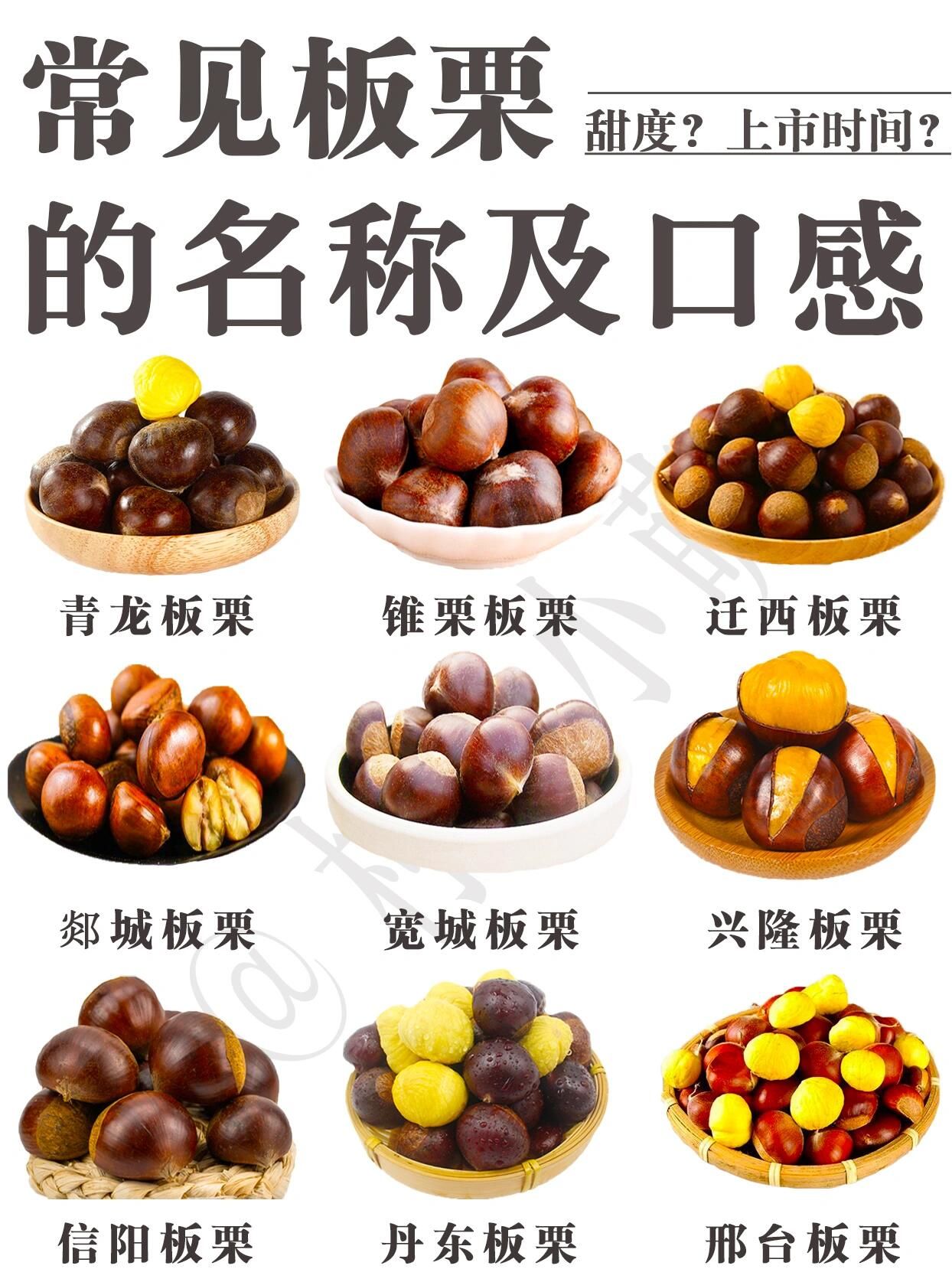 🥢
💯💯栗子入药最早记载于汉末的《名医别录》,其日:"栗,味
