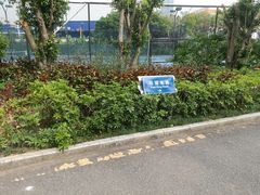 网球中心-大沙河公园