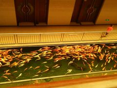 android_upload_pic-叙福楼海鲜酒家(季华西路店)