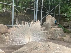 -Supine Bistro溯泮餐厅