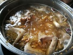 药膳乳鸽-百利鸽王(紫薇路店)