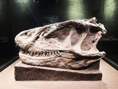 -自贡恐龙博物馆