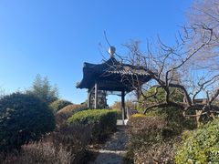 -徐州龟山景区