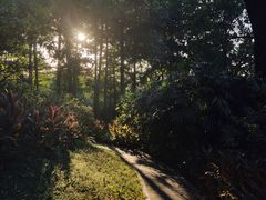 -云溪植物园