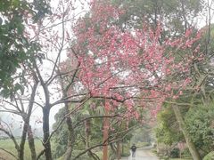 -中国茶叶博物馆(双峰馆区)