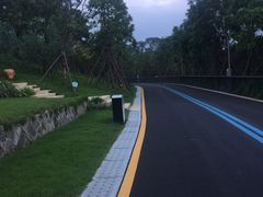 -飞凤山奥体公园