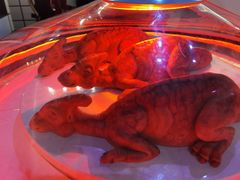 -侏罗纪世界电影特展(广州站)