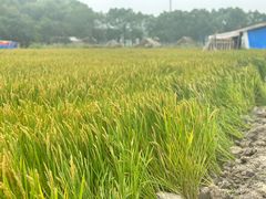 -动邦皮划艇·桨板·独木舟·团建户外运动俱乐部