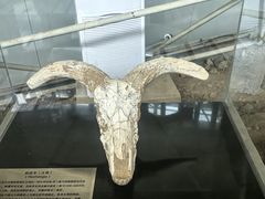 -中国第四纪冰川遗迹陈列馆