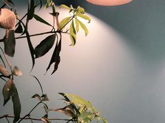 -NokNok Coffee(宽窄巷子店)