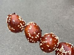 -中国天府农业博览园