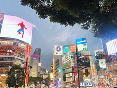 -涩谷区