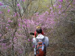 -白草畔自然风景区