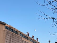 -岳姥姥饺子(泺文路店)