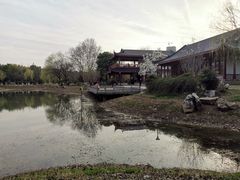 -堤角公园