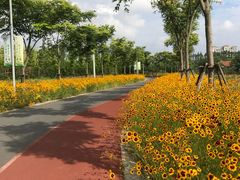 -上海长兴岛郊野公园