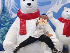 -西安银基冰雪世界