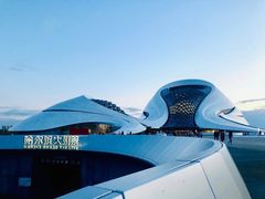 -哈尔滨大剧院