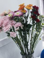 -靓芙泉专研痘痘肌