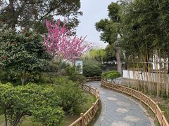 -无锡蠡湖国家湿地公园-蠡园