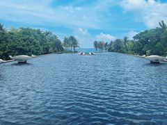 -亚龙湾喜来登·美景台大堂吧
