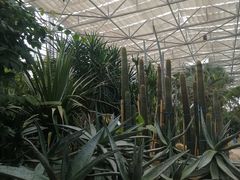 -祥源·阜阳生态乐园