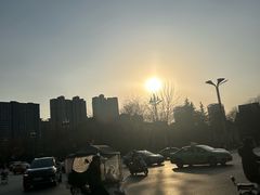 -绿树电竞(五路店)