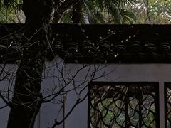 -上海醉白池公园