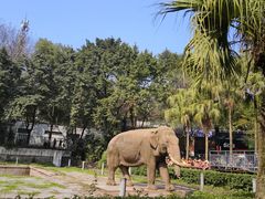 -重庆动物园·东二门售票处