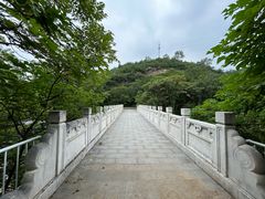 -白水寺森林公园