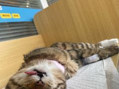 -美迦爱-牙专科·兔科·骨科诊疗中心(北苑店)
