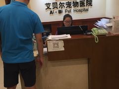 -艾贝尔宠物医院·24H转诊中心·肿瘤猫专科(江宁双龙店)