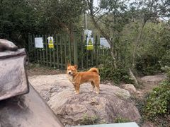 -南京市无想山景区